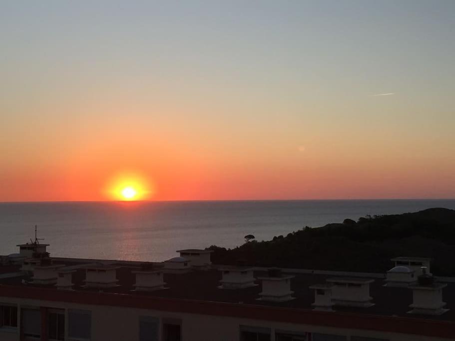 Appartement 4 Personnes, Vue Mer Exceptionnelle Banyuls-sur-Mer Εξωτερικό φωτογραφία